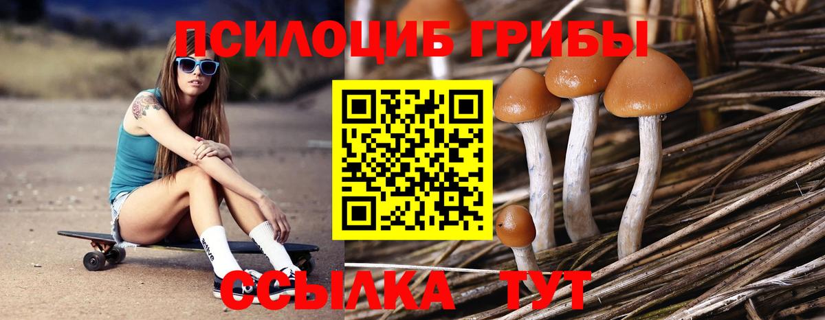 Галлюциногенные грибы GOLDEN TEACHER Братск
